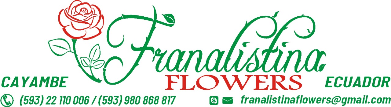 FRANALISTINA FLOWERS